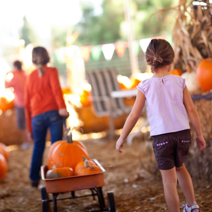 10 Family Friendly Activities to Enjoy Outdoors This Fall!